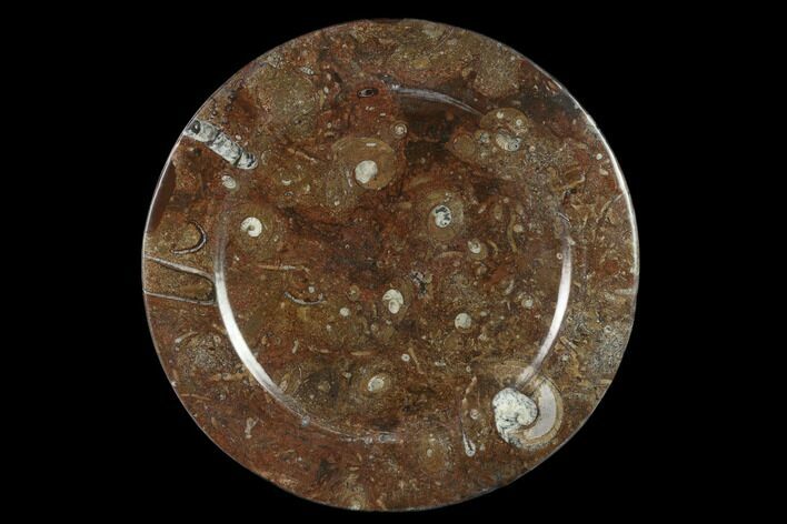 Fossil Orthoceras & Goniatite Round Plate - Stoneware #133558